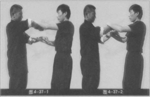 圖片169