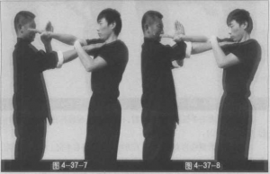 圖片172