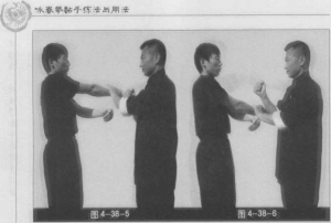 圖片175