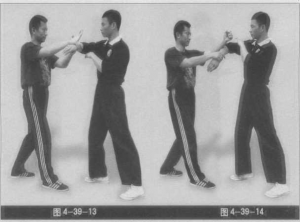 圖片6