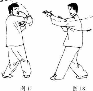 圖片12