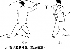 圖片42