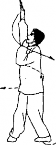 圖片88