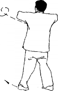 圖片33