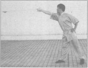 圖片15