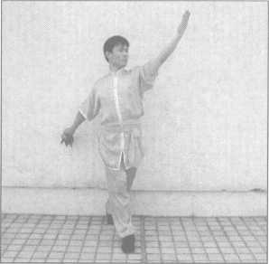 圖片25