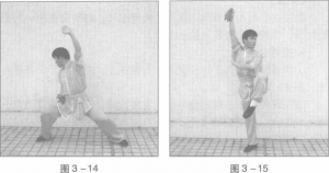 圖片30