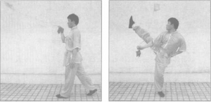 圖片40