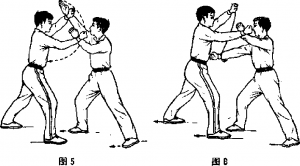 圖片70