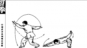 圖片16