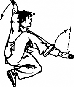 圖片29