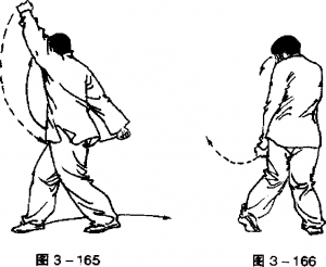 圖片41