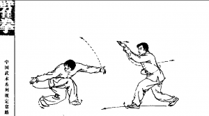 圖片50