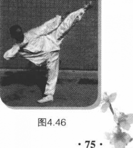 圖片33