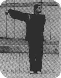 圖片13