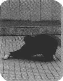 圖片32
