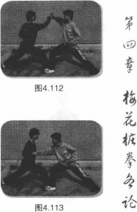 圖片48