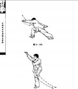 圖片8