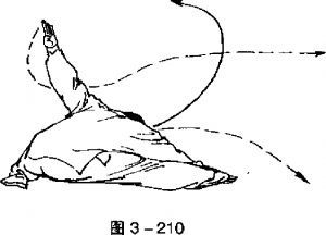 圖片19