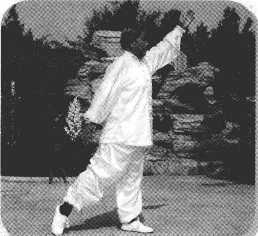 圖片8