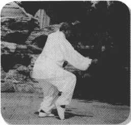 圖片15