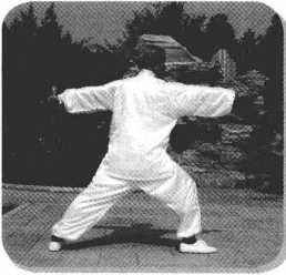 圖片16