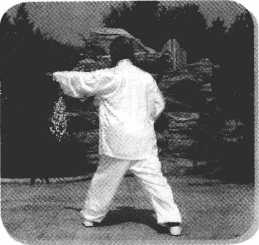 圖片21