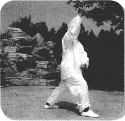 圖片28
