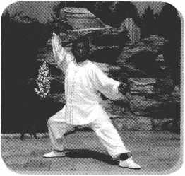 圖片31