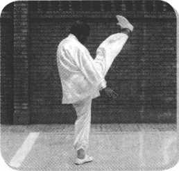 圖片40