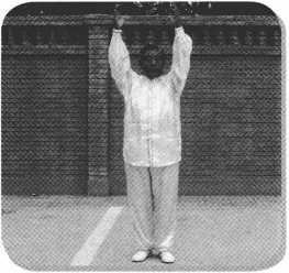 圖片52