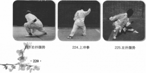 圖片131