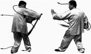 圖片83