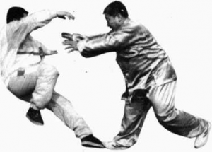 圖片144
