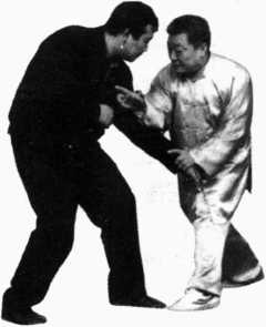 圖片147
