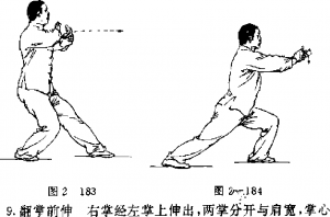 圖片54