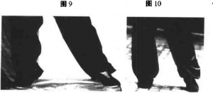 圖片7