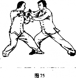 圖片65