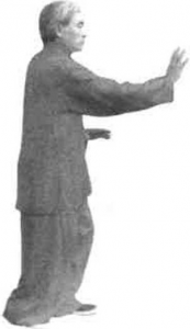圖片10