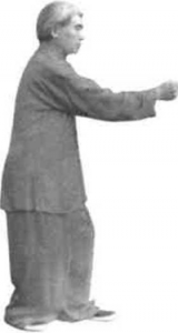 圖片12