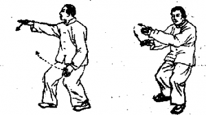 圖片7