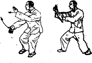 圖片8