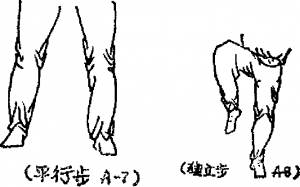 圖片6