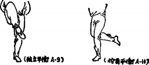 圖片7