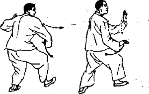 圖片21