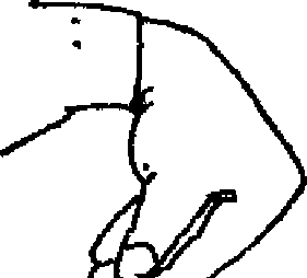 圖片11
