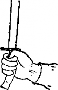 圖片13