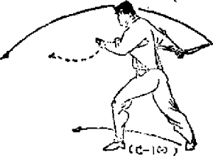 圖片114