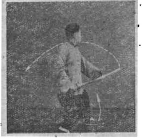 圖片23