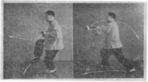 圖片31